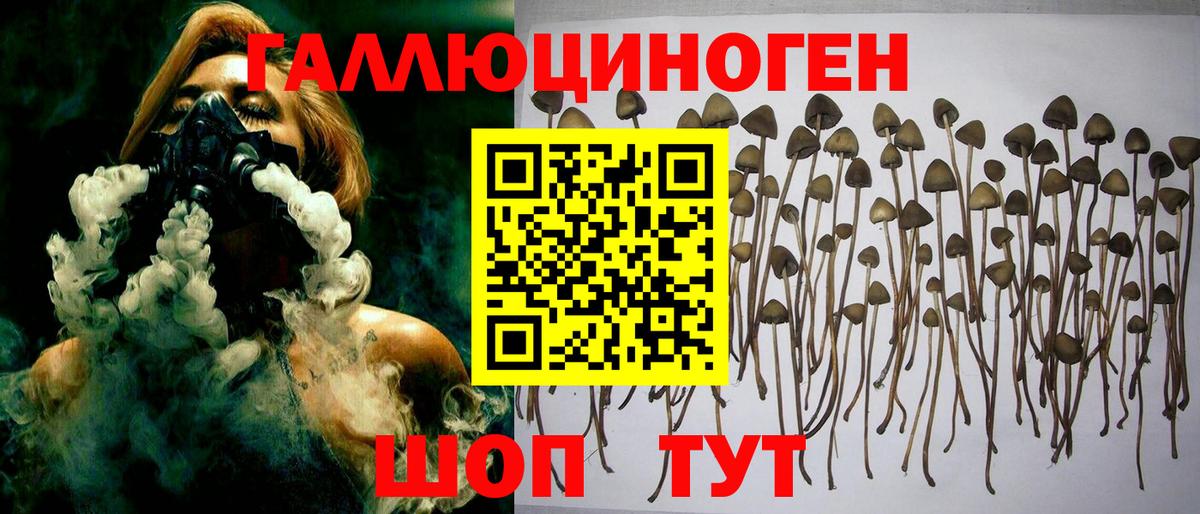 Галлюциногенные грибы мухоморы  Галлюциногенные грибы GOLDEN TEACHER  Долгопрудный  Вход с VPN 
